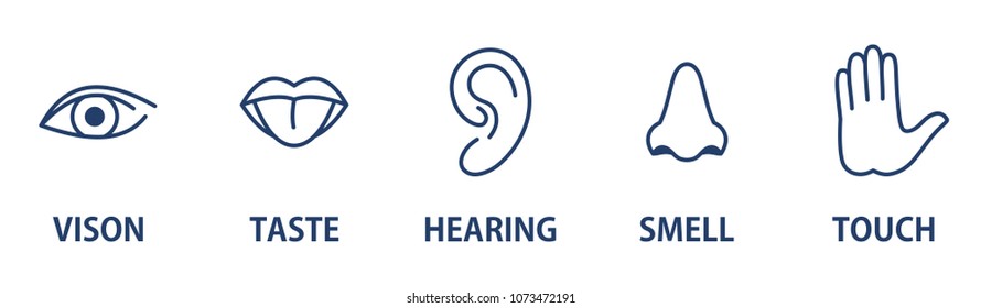 Five sense organs icons. Sight (eye), smell (nose), hear (ear), taste (mouth and tongue), touch (hand). Simple lines of the pictogram. Isolated signs set.