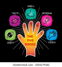 The Five Senses