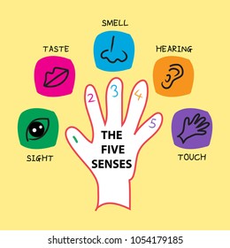 The Five Senses