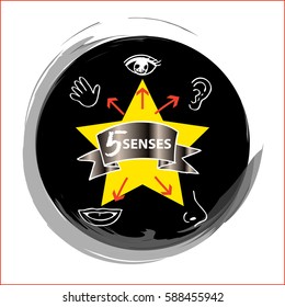 Five Senses
