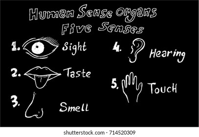 five senses