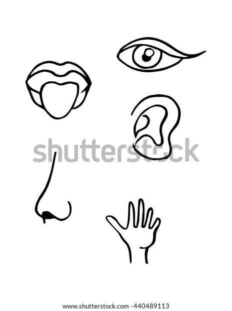 Five Senses Stock Vector (Royalty Free) 440489113 | Shutterstock