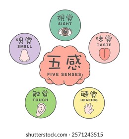 Five senses and brain illustration icon translation: Sight, smell, taste, hearing, touch