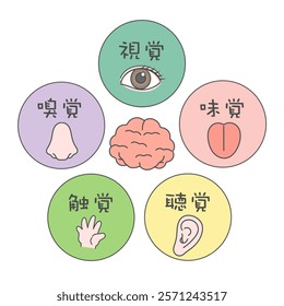 Five senses and brain illustration icon translation: Sight, smell, taste, hearing, touch