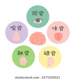 Five senses and brain illustration icon translation: Sight, smell, taste, hearing, touch