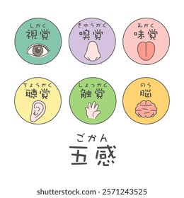 Five senses and brain illustration icon translation: Sight, smell, taste, hearing, touch