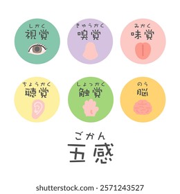 Five senses and brain illustration icon translation: Sight, smell, taste, hearing, touch