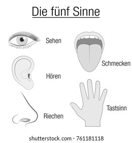 Five senses chart with sensory organs eye, ear, tongue, nose and hand and appropriate designation sight, hearing, taste, smell and touch in GERMAN LANGUAGE - schematic isolated vector icons 