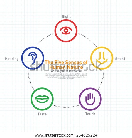 Five senses concept with human colorful vector icons set in grid template design