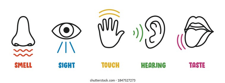 Five Senses Hd Stock Images Shutterstock