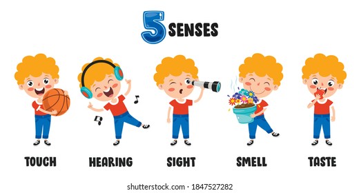 Five Senses Concept With Human Organs