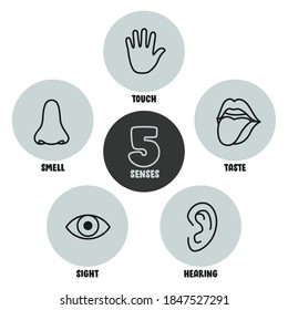 Five Senses Concept With Human Organs