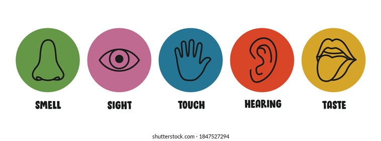 Five Senses Concept With Human Organs