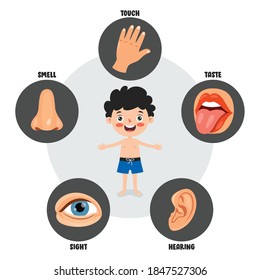Five Senses Concept With Human Organs