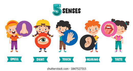 Five Senses Concept With Human Organs