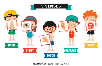 Five Senses Concept With Human Organs