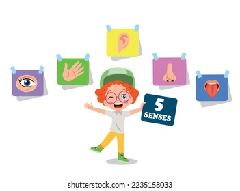 Five Senses Concept With Human Organs