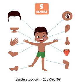 Five Senses Concept With Human Organs