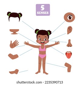 Five Senses Concept With Human Organs