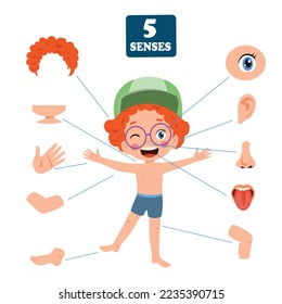 Five Senses Concept With Human Organs