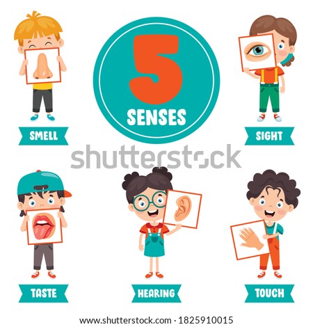 Five Senses Concept With Human Organs