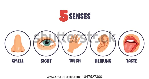 Five Senses Concept Human Organs Stock Vector (Royalty Free) 1847527300