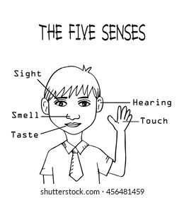 Five senses educational concept  