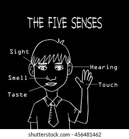 Five senses educational concept  