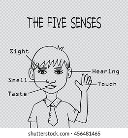 Five Senses Educational Concept  