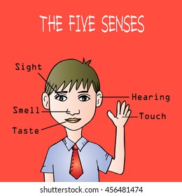 Five senses educational concept  