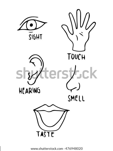 Five Senses Hand Drawn Icon Set Stock Vector (Royalty Free) 476948020 ...