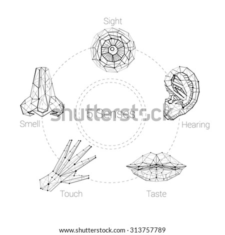 Five Senses Hand Lips Eye Ear Nose