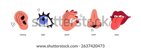 Five senses. Hearing with ear, looking with eye, smelling with nose, tasting with mouth, touching with hand. Sensory perceptions with organs. Flat vector illustration isolated on white background