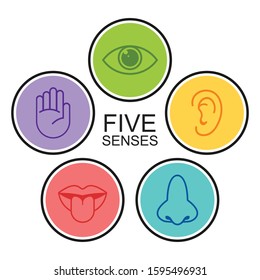 Five senses of human nervous system icon vector illustration, Simple line icons and color circles, 