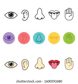 Five senses of human nervous system icon vector illustration, Simple line icons and color circles, 