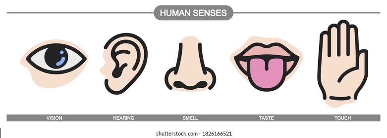 Five senses of human nervous system icon set. Symbols of eye for vision, nose for smell, ear for hearing, hand for touch and tongue for taste. 