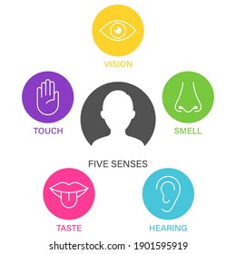 Five senses of human nervous system icon vector illustration, Simple line icons and color circles,