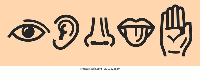 Five senses of human nervous system. Vision, hearing, smell, touch, taste icons vector illustration
