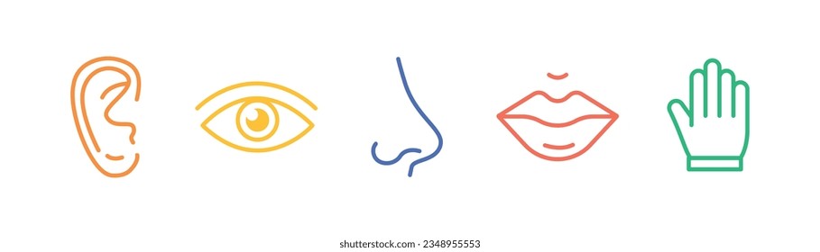 Cinco sentidos de los iconos de línea del sistema nervioso humano conjunto de colores. 5 tipos de símbolos. Ojo, nariz, oreja, mano, boca. Vista, olfato, oído, tacto, concepto de gusto. Ilustración del vector