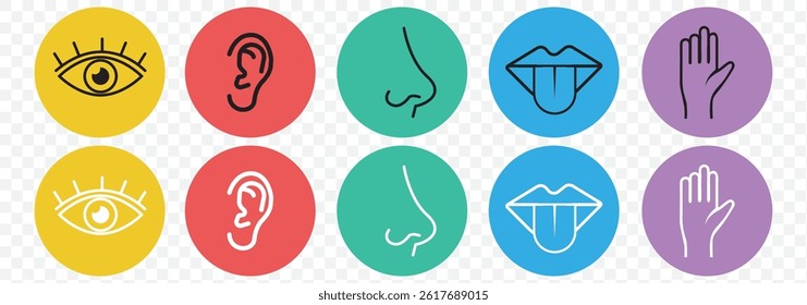 Five senses of human nervous system vector illustration on Transparent Background. EPS 10.