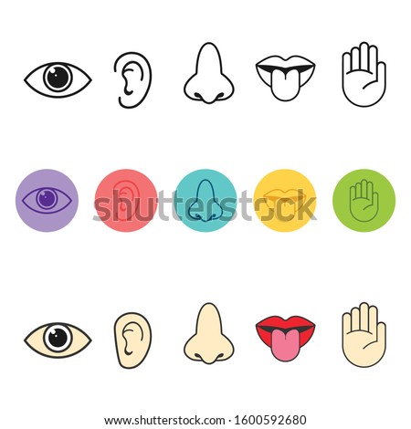 Five senses of human nervous system icon vector illustration, Simple line icons and color circles, 