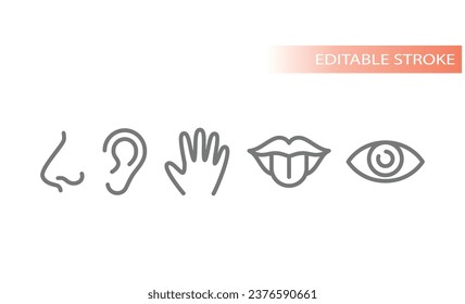 Five senses, human sensory organs icons. Touch, smell, see and taste line icon set.