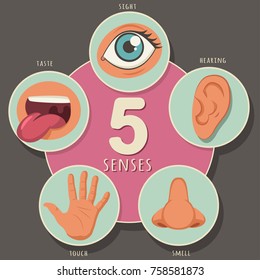 Five senses of a human: sight, hearing, smell, taste and touch. Vector cartoon icons of eyes, nose, mouth, ear and hand isolated on background.