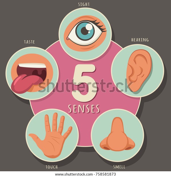 Five Senses Human Sight Hearing Smell Stock Vector (Royalty Free) 758581873