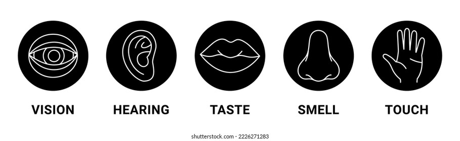 Five senses of a human. Vision, smell, hearing, touch, taste icons. Set of human sensory organs. Vector illustration. Eye, nose, ear, hand, mouth icon set.