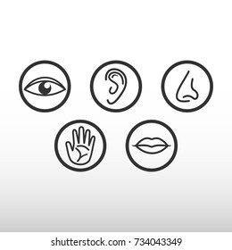 Five Senses Icon