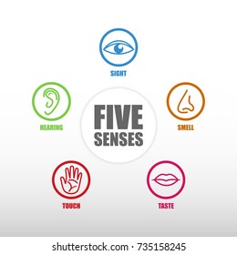 1,739 5 senses icons Images, Stock Photos & Vectors | Shutterstock
