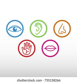 Five Senses Icon Stock Vector (Royalty Free) 735158266 | Shutterstock