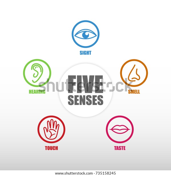 Five Senses Icon Stock Vector (Royalty Free) 735158245 | Shutterstock