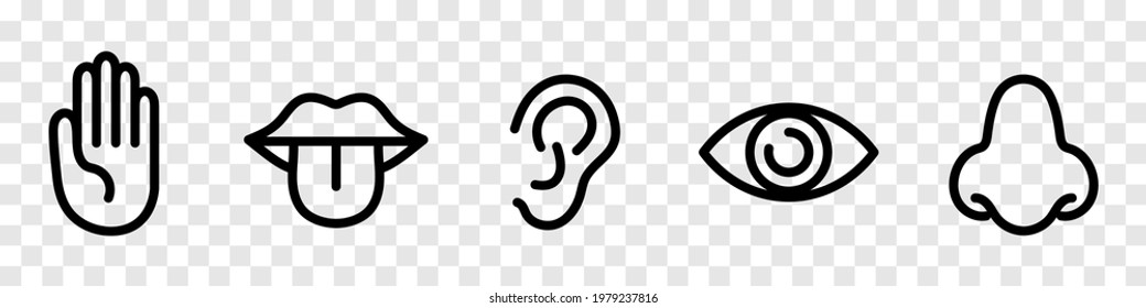 Five Senses Icon Collection. Eye, nose, ear, hand, mouth, tongue signs. Sight, smell, hearing, touch, taste vector icons. Isolated on transparent background